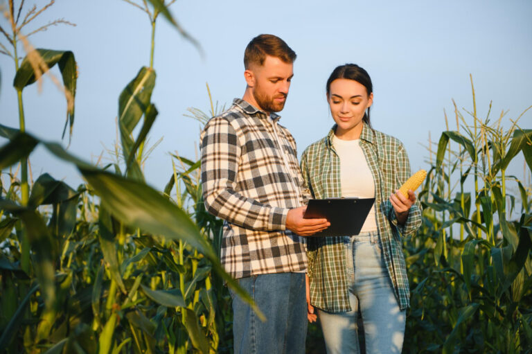 Qual o melhor ERP para cooperativas agrícolas em 2025? Gestão de cooperados